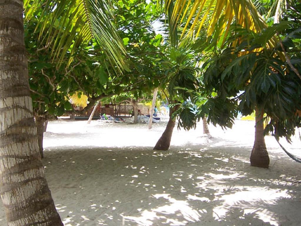 Yellow Bird Sea Negril Exterior photo